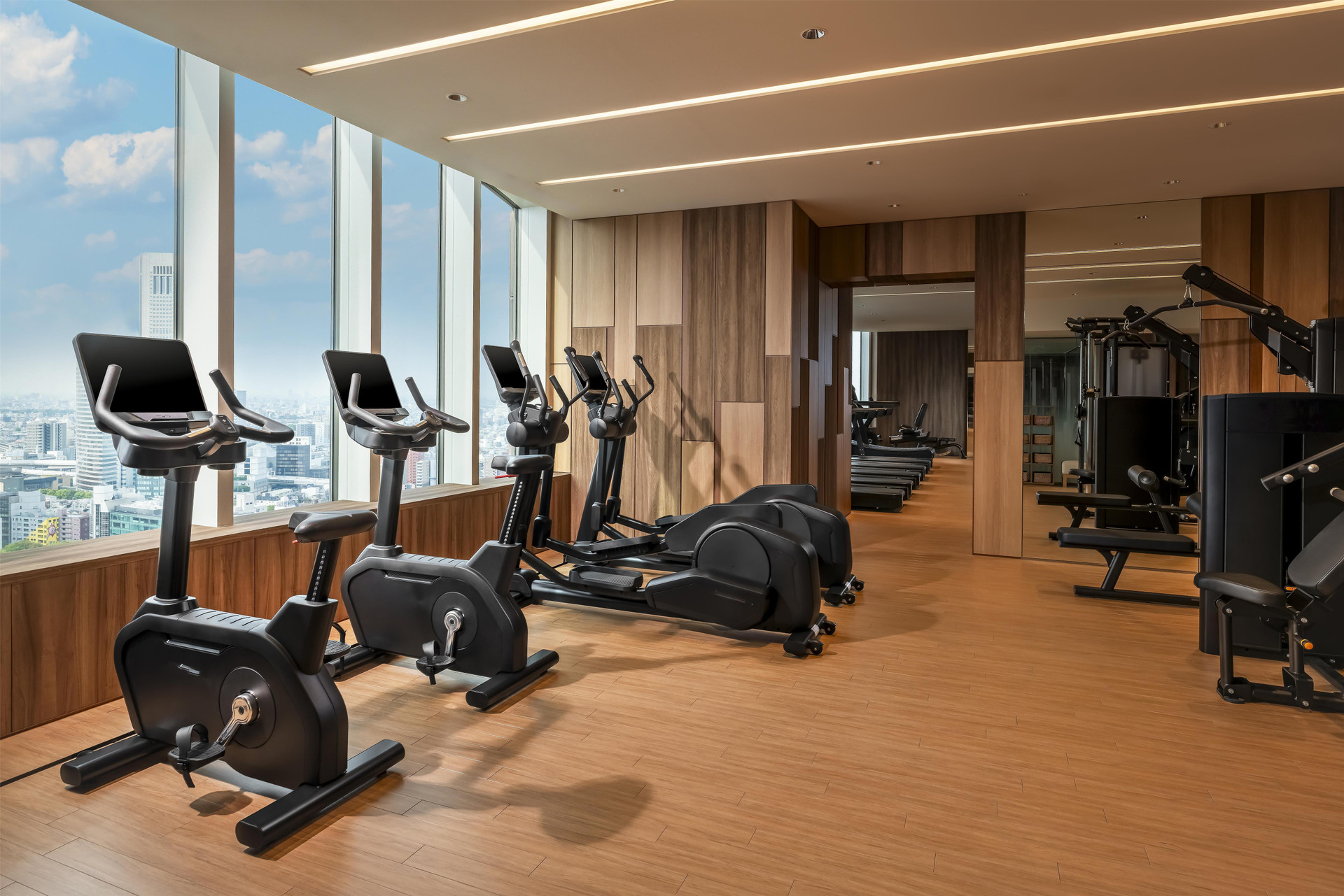 Gimnasio Hyatt Regency Tokyo