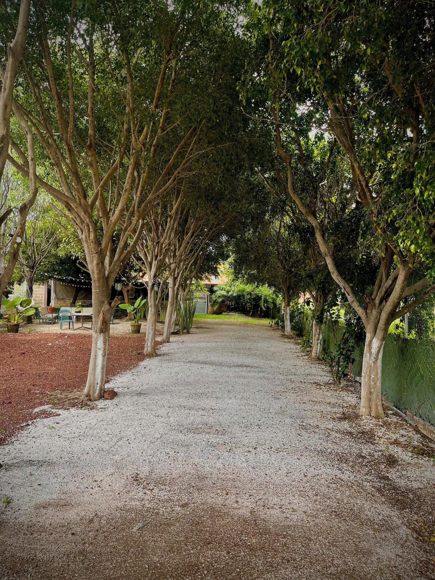 Vista Exterior Hotel Paraje Atlixco