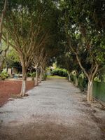 Alojamiento - Hotel Paraje Atlixco