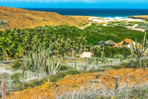 Actividad - Tour en 4x4 por el Parque Nacional de Arikok