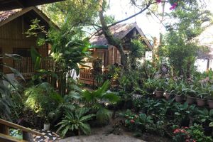 Alojamiento - Golden Monkey Cottages