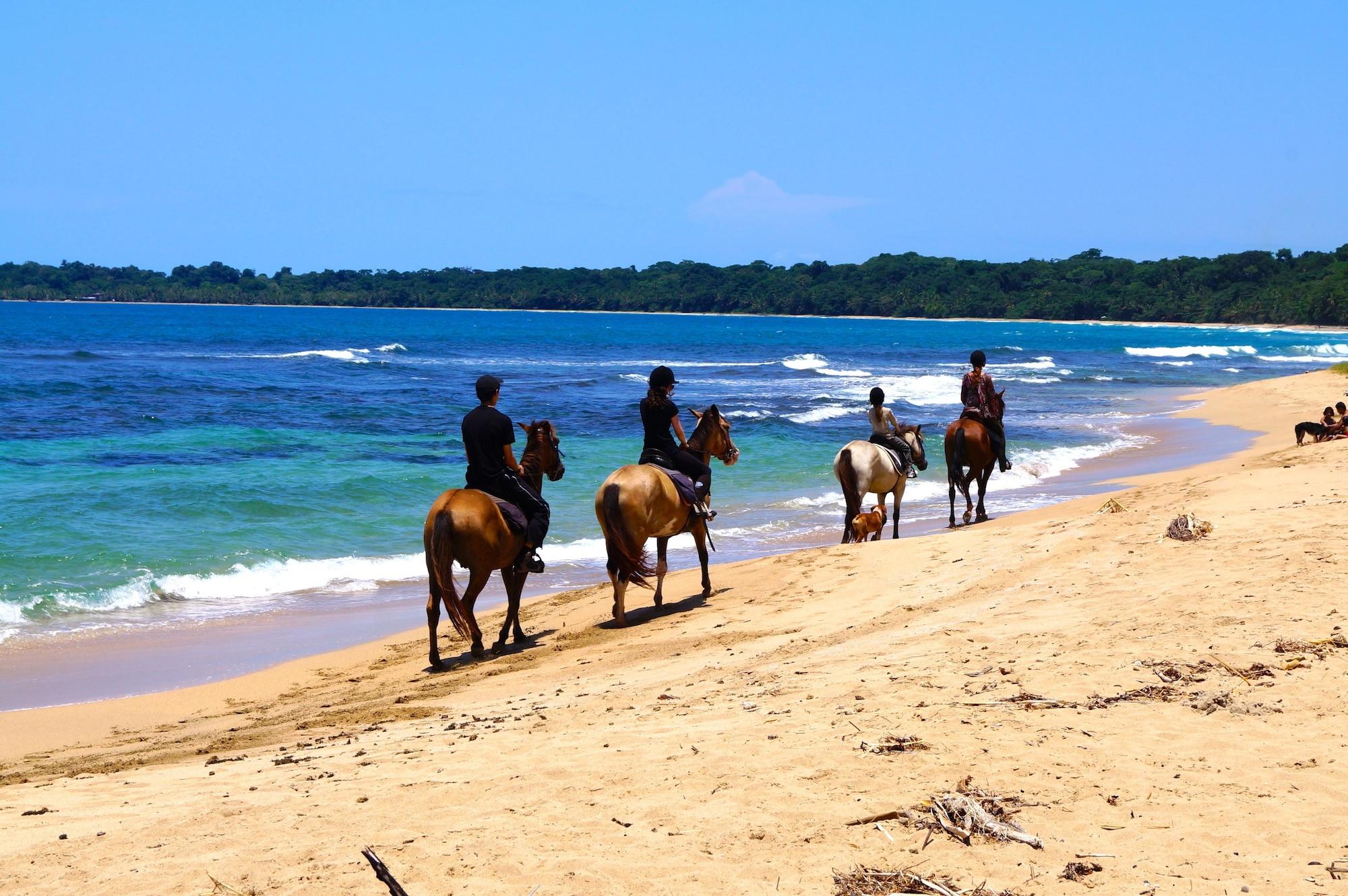 Instalaciones Recreativas Physis Caribbean Bed & Breakfast