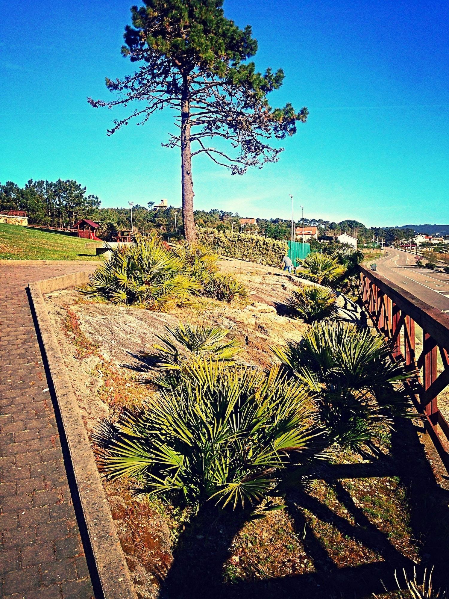 Vista Exterior Complejo Turístico Raeiros