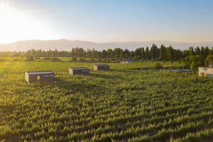 Alojamiento - Posada Mawida