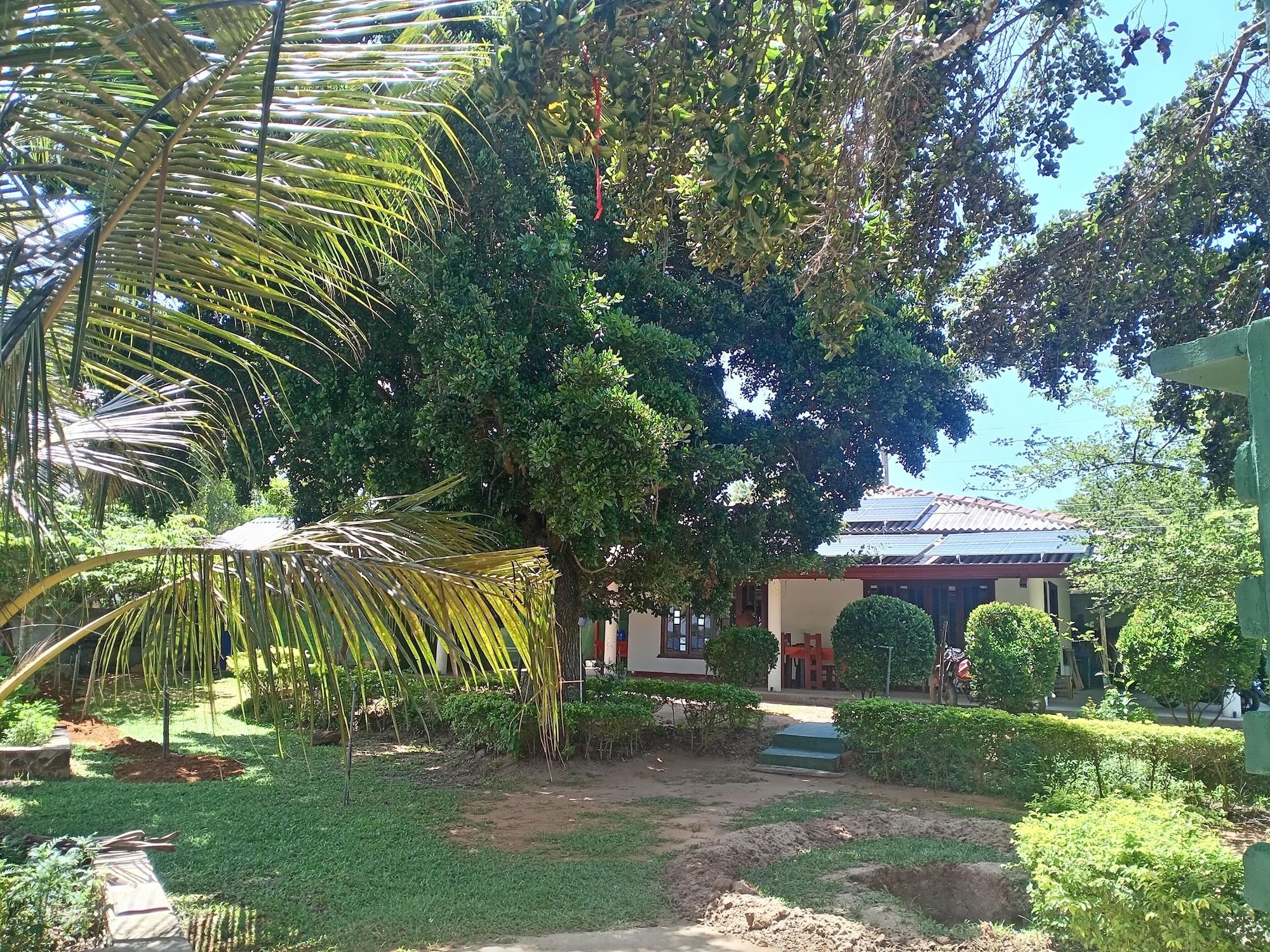 Comodidades del Alojamiento Yala Treetop Lake