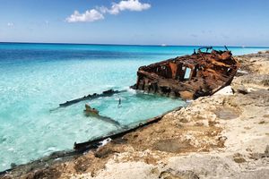 Actividad - Sol, Arena y Mar: Viaje a Bimini, Bahamas de Miami