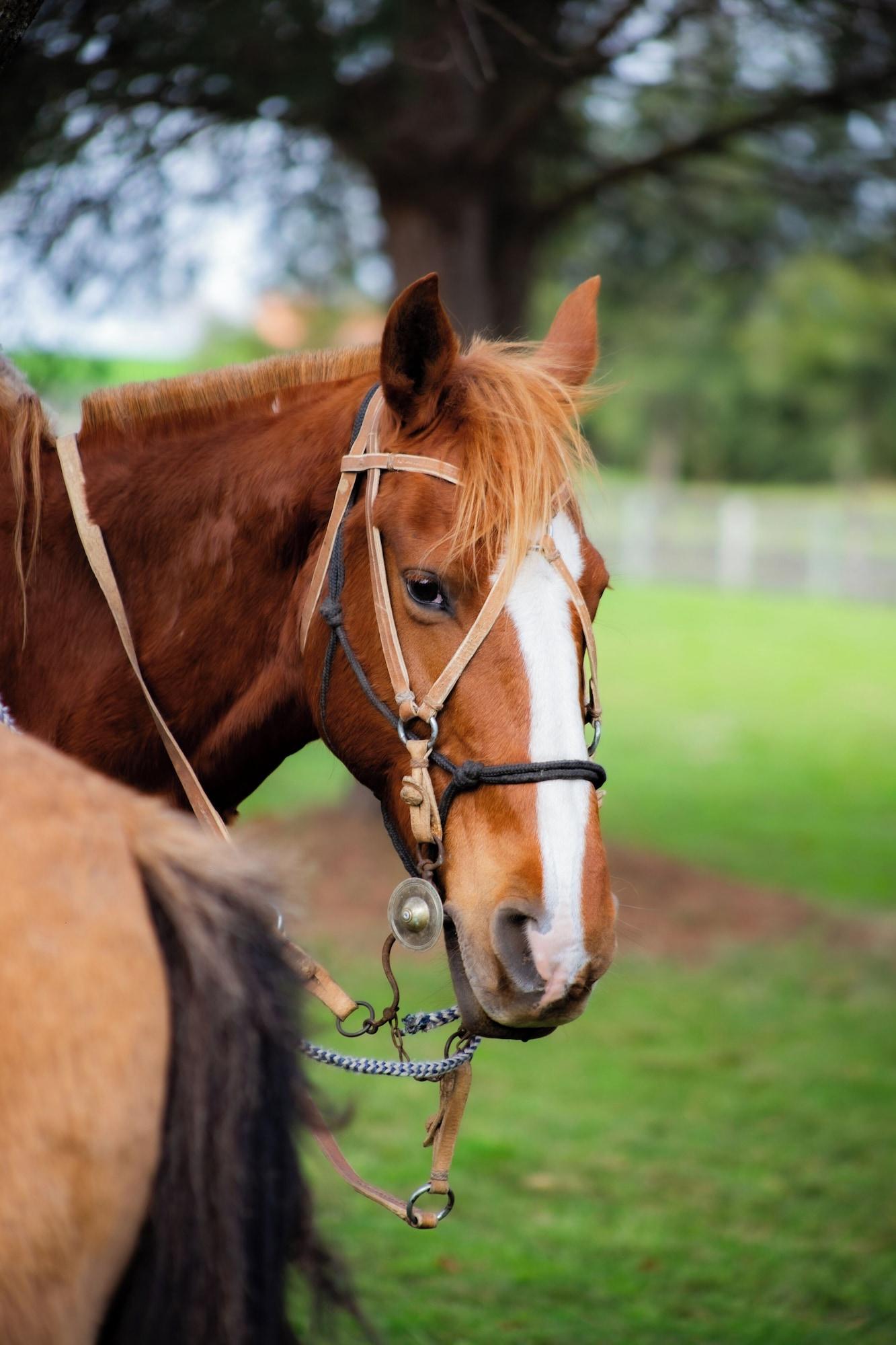 Instalaciones Recreativas Finca del Sacramento