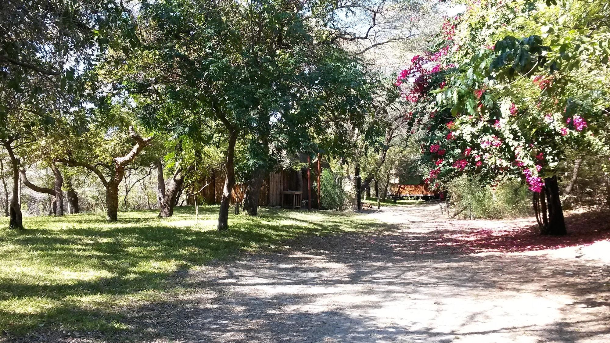 Comodidades del Alojamiento Kavumbu Camp