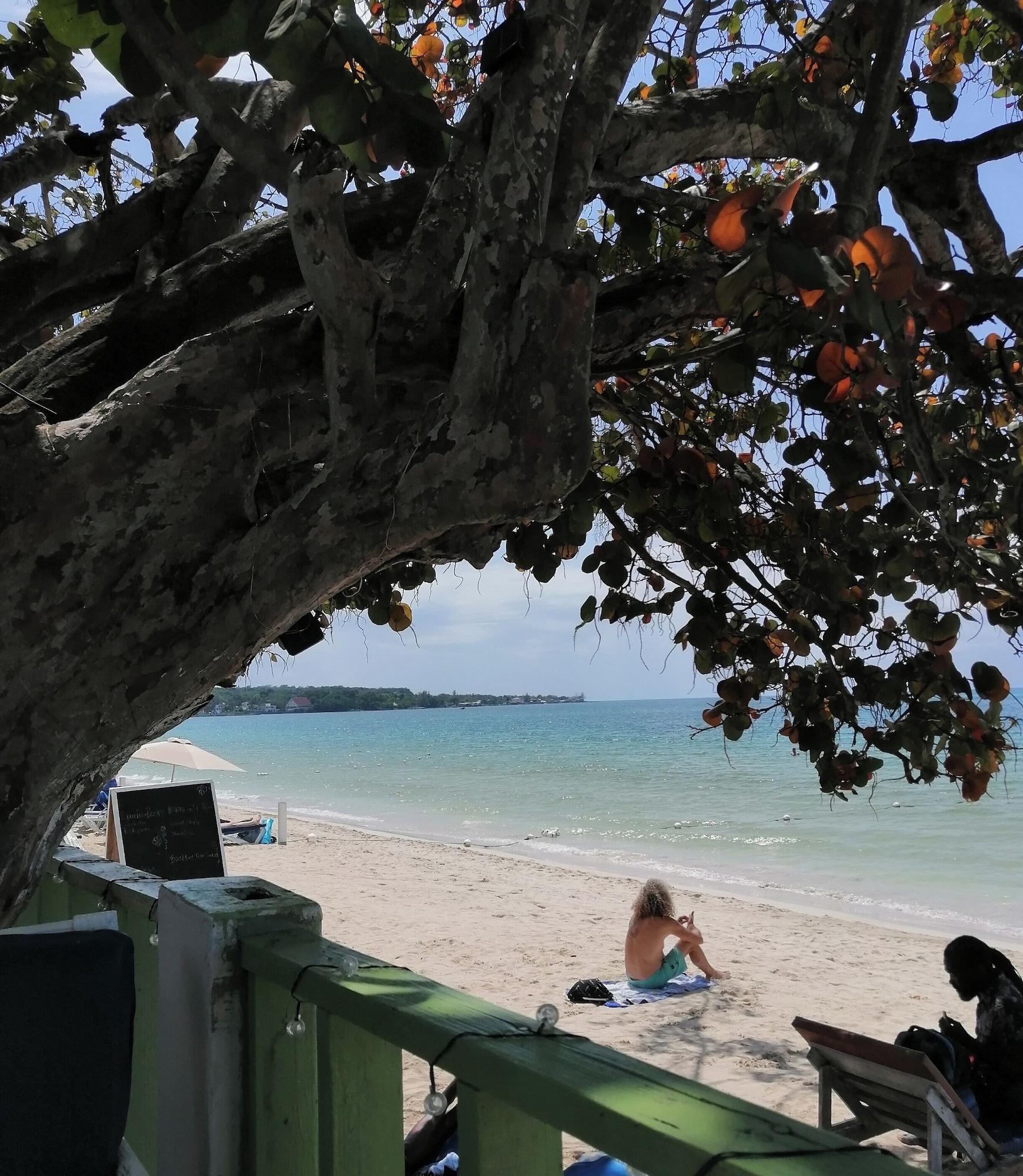 Playa Yoga Dreams Negril
