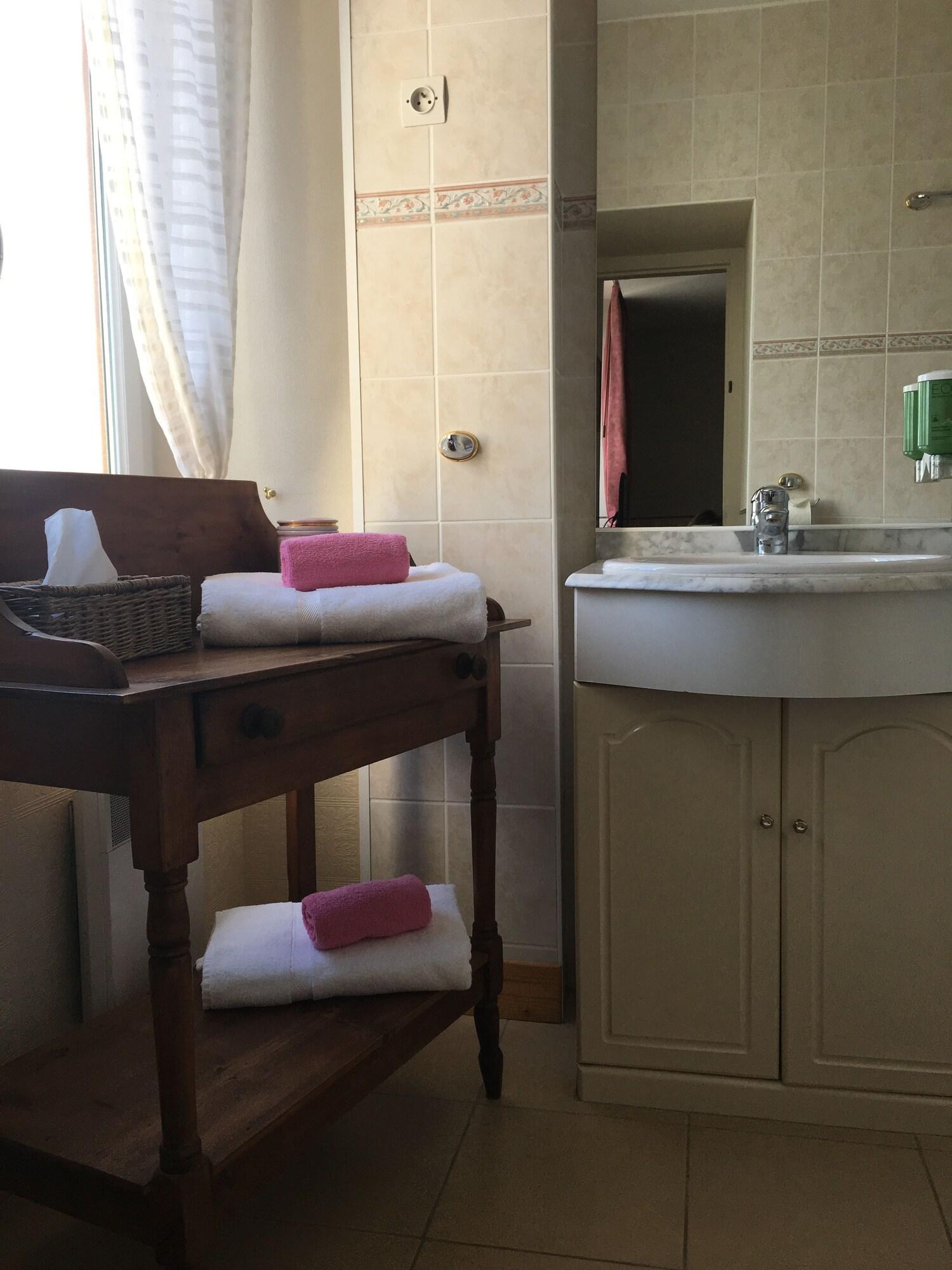 Equipamiento de Habitación Hôtel de la Loire