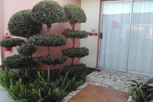 Alojamiento - Joezebel Guest House