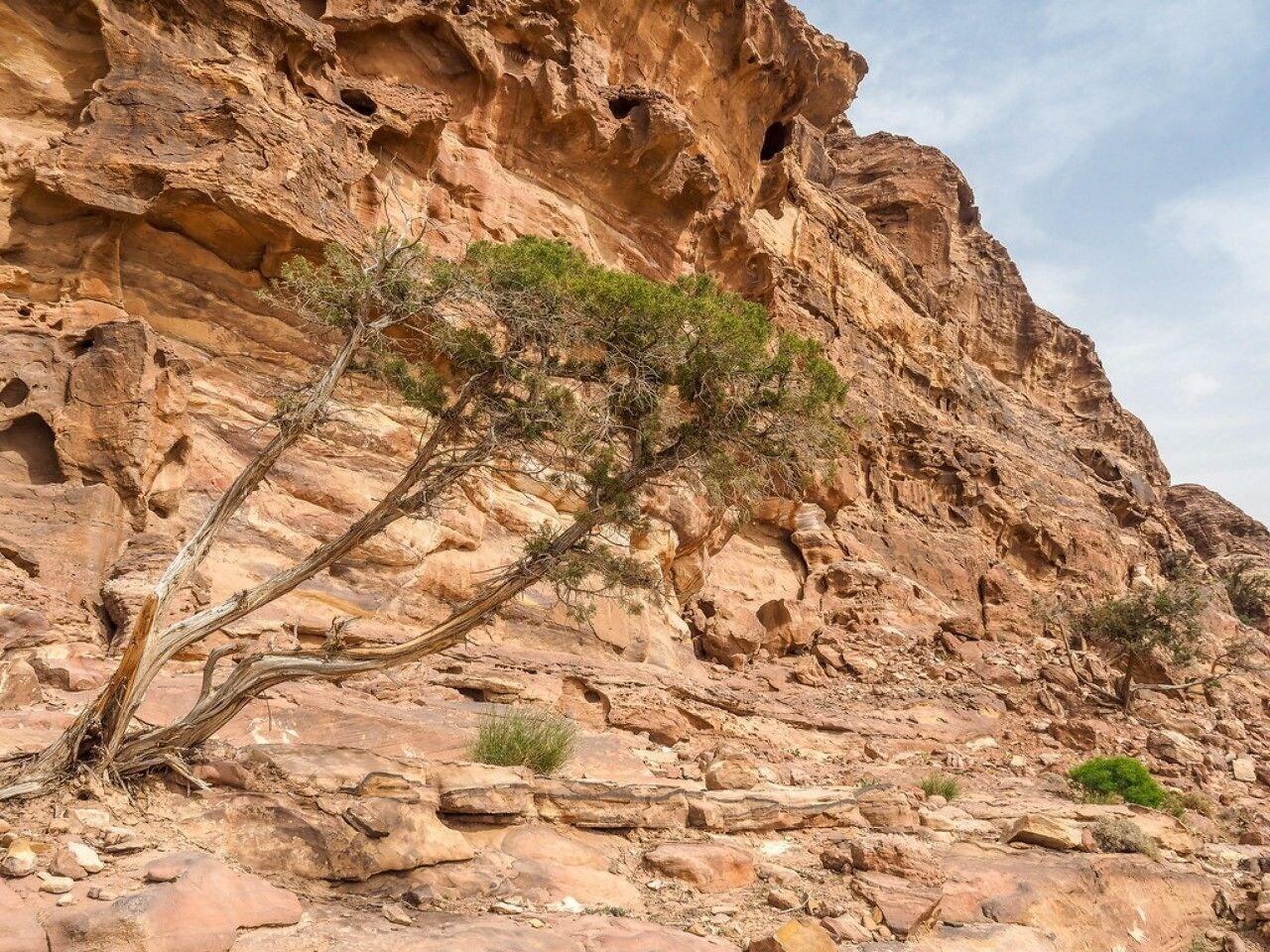 Vista Exterior Nature Inn