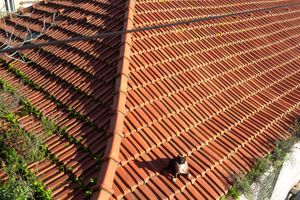 Alojamiento - Alfama 3B Balby's Bed&Breakfast
