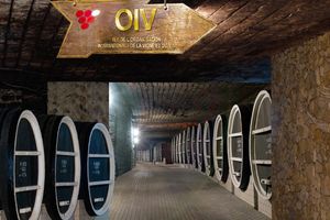 Actividad - Explore Milestii Mici: The World's Largest Wine Cellar - Private Half-Day Tour