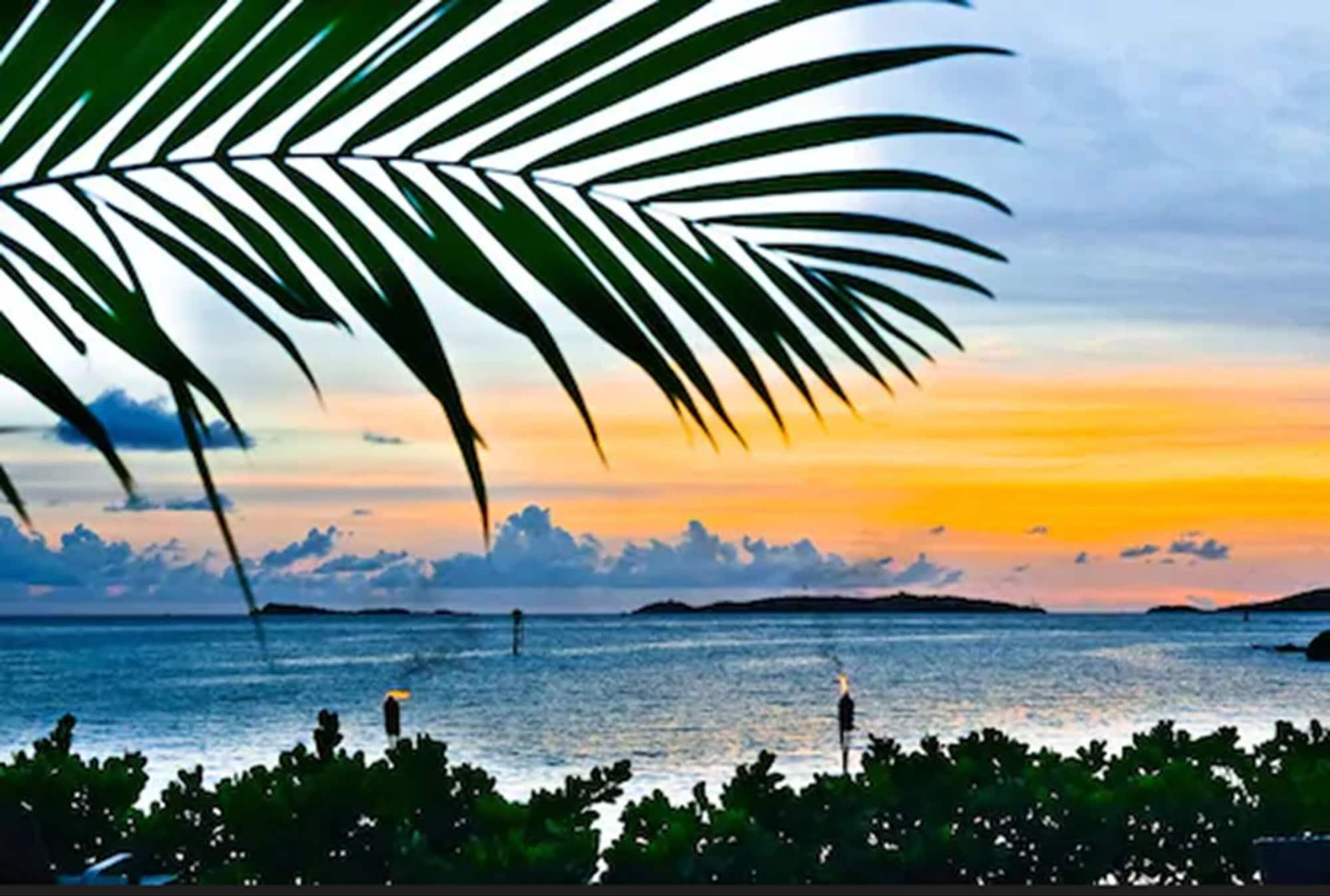 Playa Sea Shore Allure