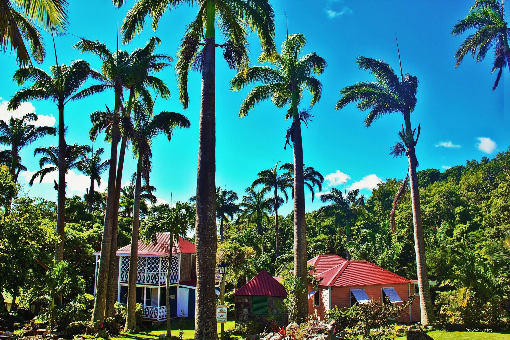 Vista Exterior Hermitage Nevis