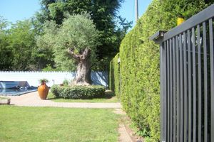 Alojamiento - B&B SouthItaly