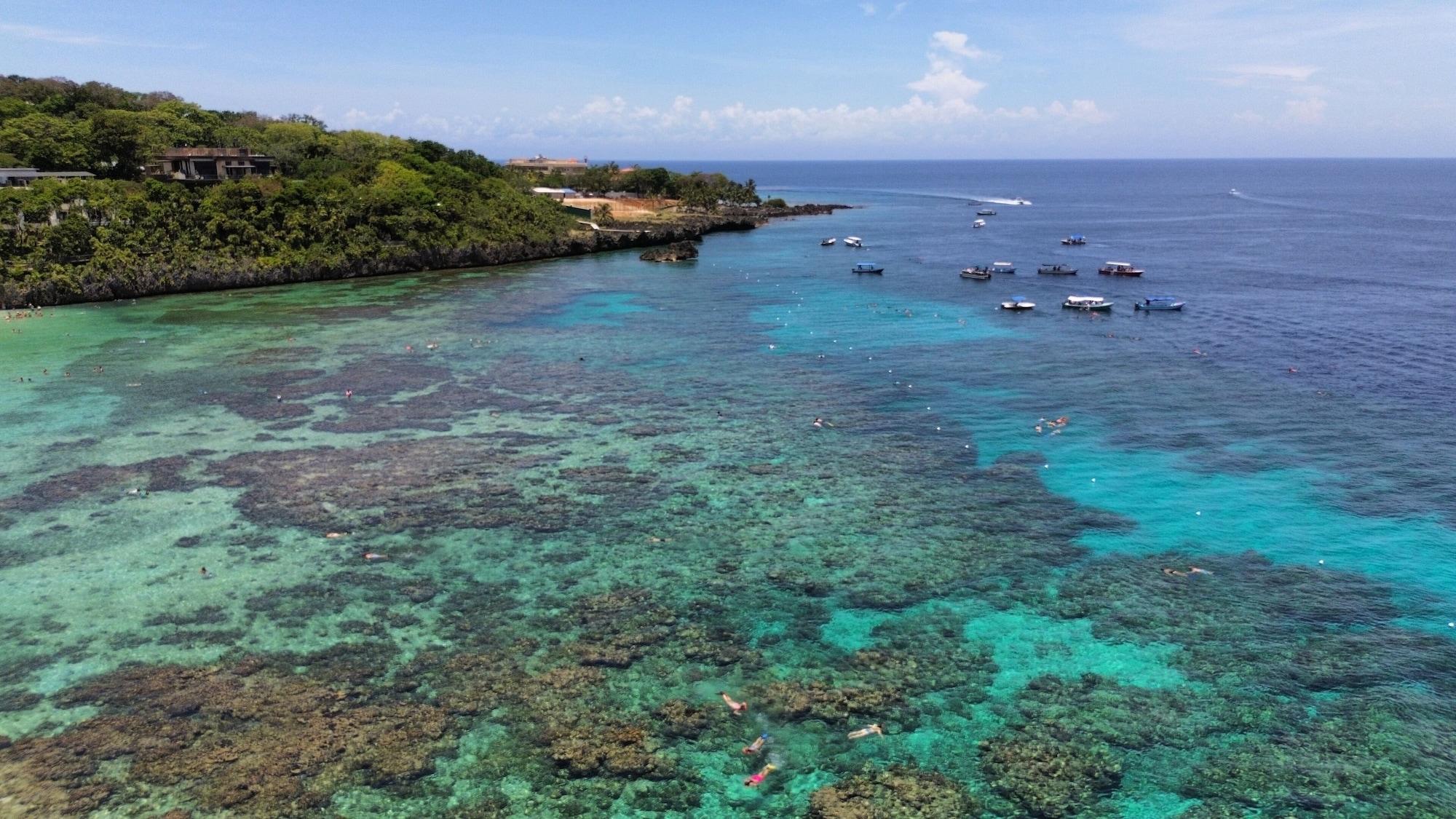 Playa Naboo Resort & Dive Center - Adults Only