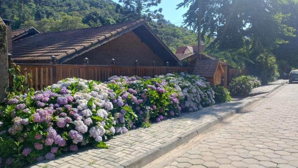 Varios Chalé Aroma da Serra