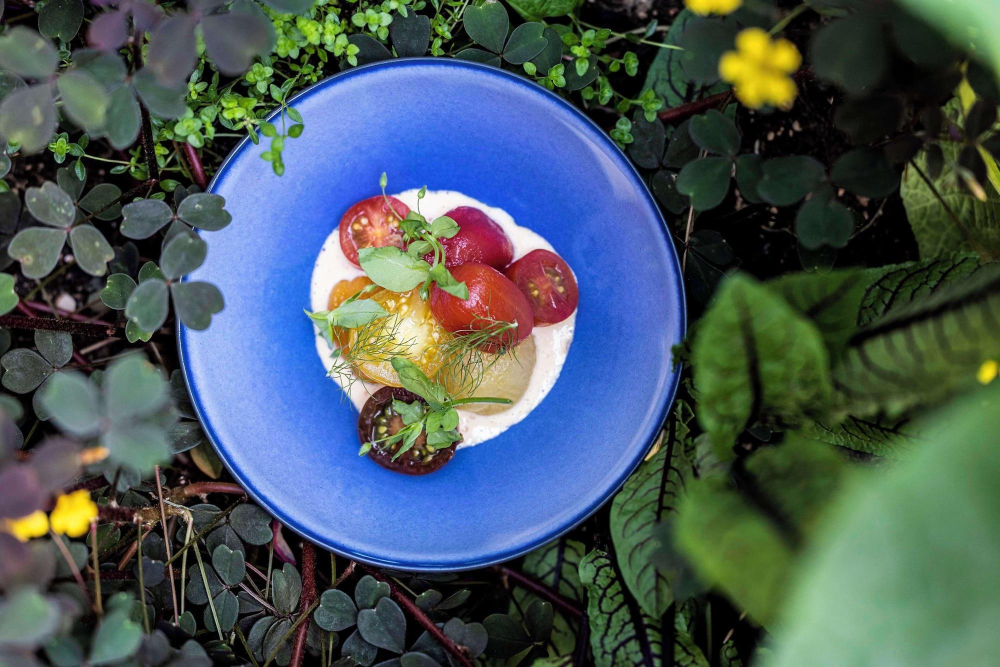 Restaurant Scandic Spectrum