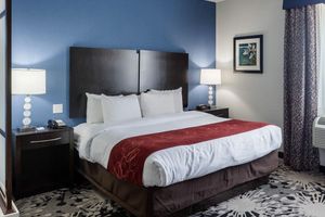 Alojamiento - Comfort Suites Greenville