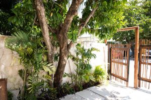 Alojamiento - Yax Kiin Casa Boutique