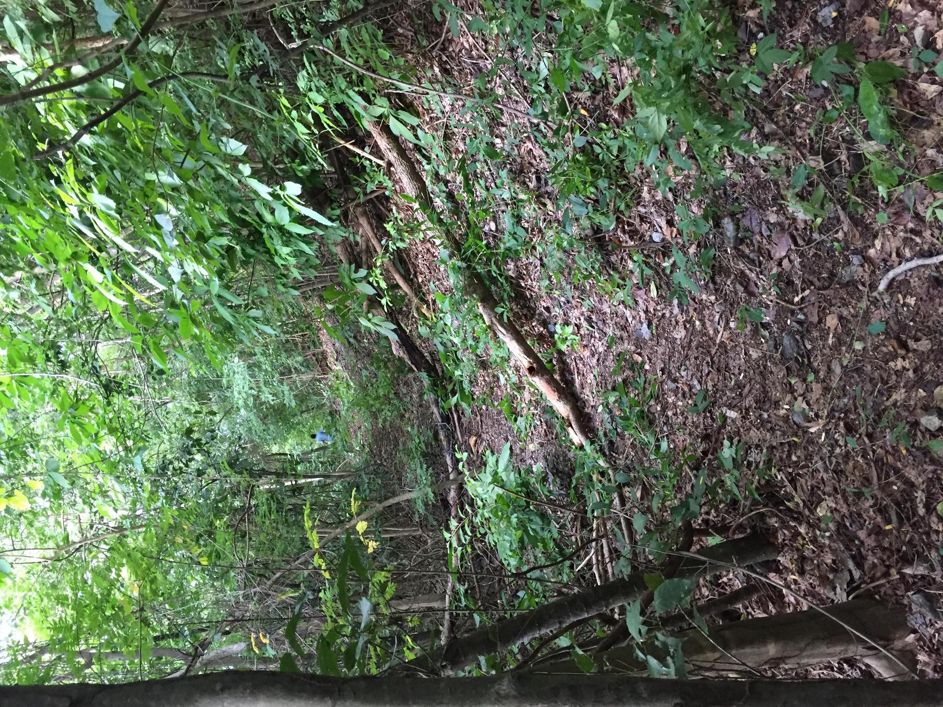 Instalaciones Recreativas Hostal Campestre Olas de Neguanje