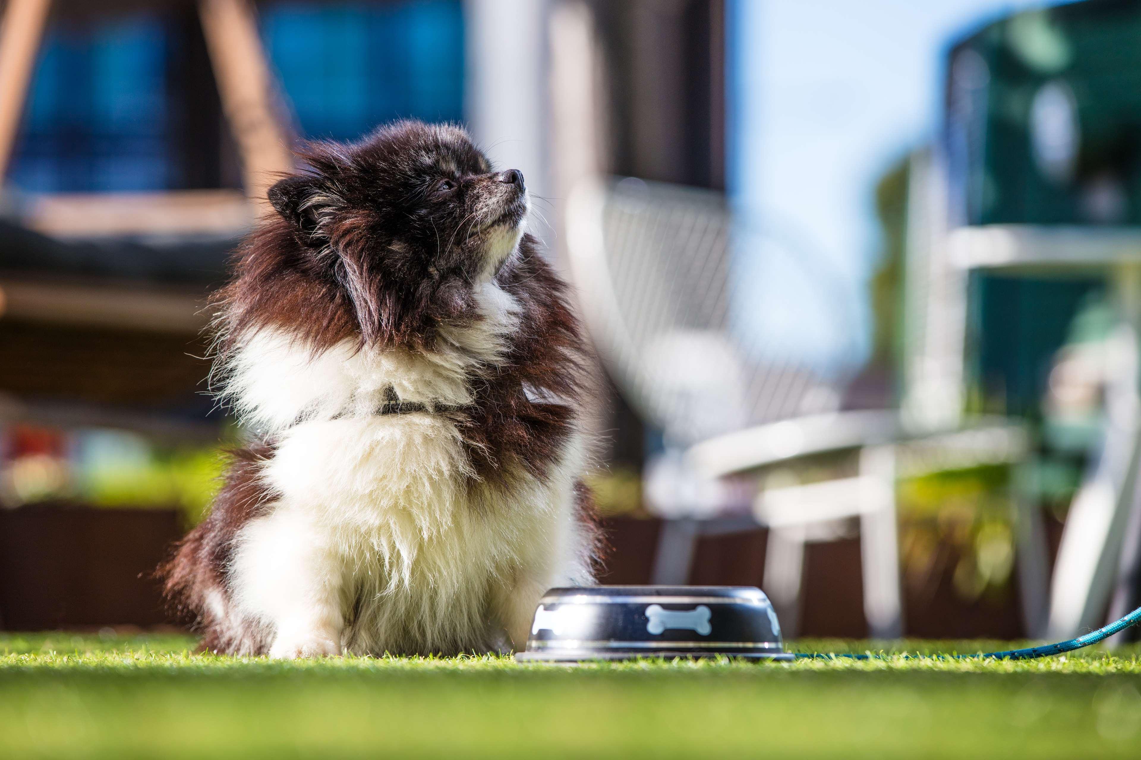 Vista Exterior Radisson Blu Hotel Uppsala