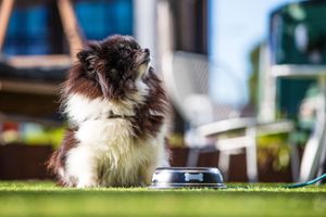 Alojamiento - Radisson Blu Hotel Uppsala