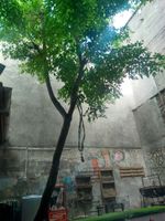 Alojamiento - Origenes Hostel