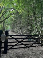 Alquiler Vacacional - Picturesque 4 Bed Cottage Lingfield, Surrey