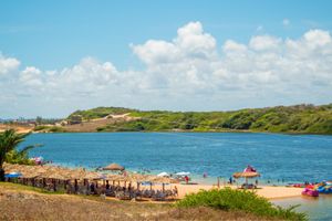Actividad - Anacardo más grande, Camurupim y laguna de Arituba