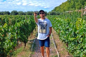 Actividad - Visita a 3 Bodegas y fábrica de aceite de oliva