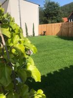 Alojamiento - Zur Quelle - Ferien-Apartment-Haus