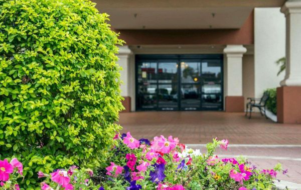 I-Drive Hotel at Universal - Hoteles en International Drive de Orlando