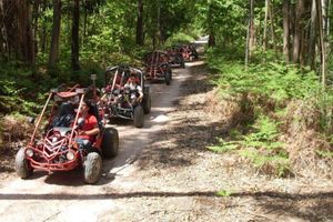 Alquiler Vacacional - Luxurious Casa Rio Zêzere River Beaches & Mountains Pets & Kids Welcome