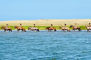 Actividad - Cabalgata por campo y laguna