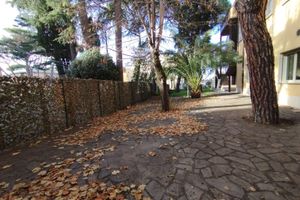 Alojamiento - AH Roma