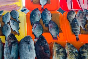 Actividad - Tour por el mercado de Chorrillos + Taller de cocina peruana