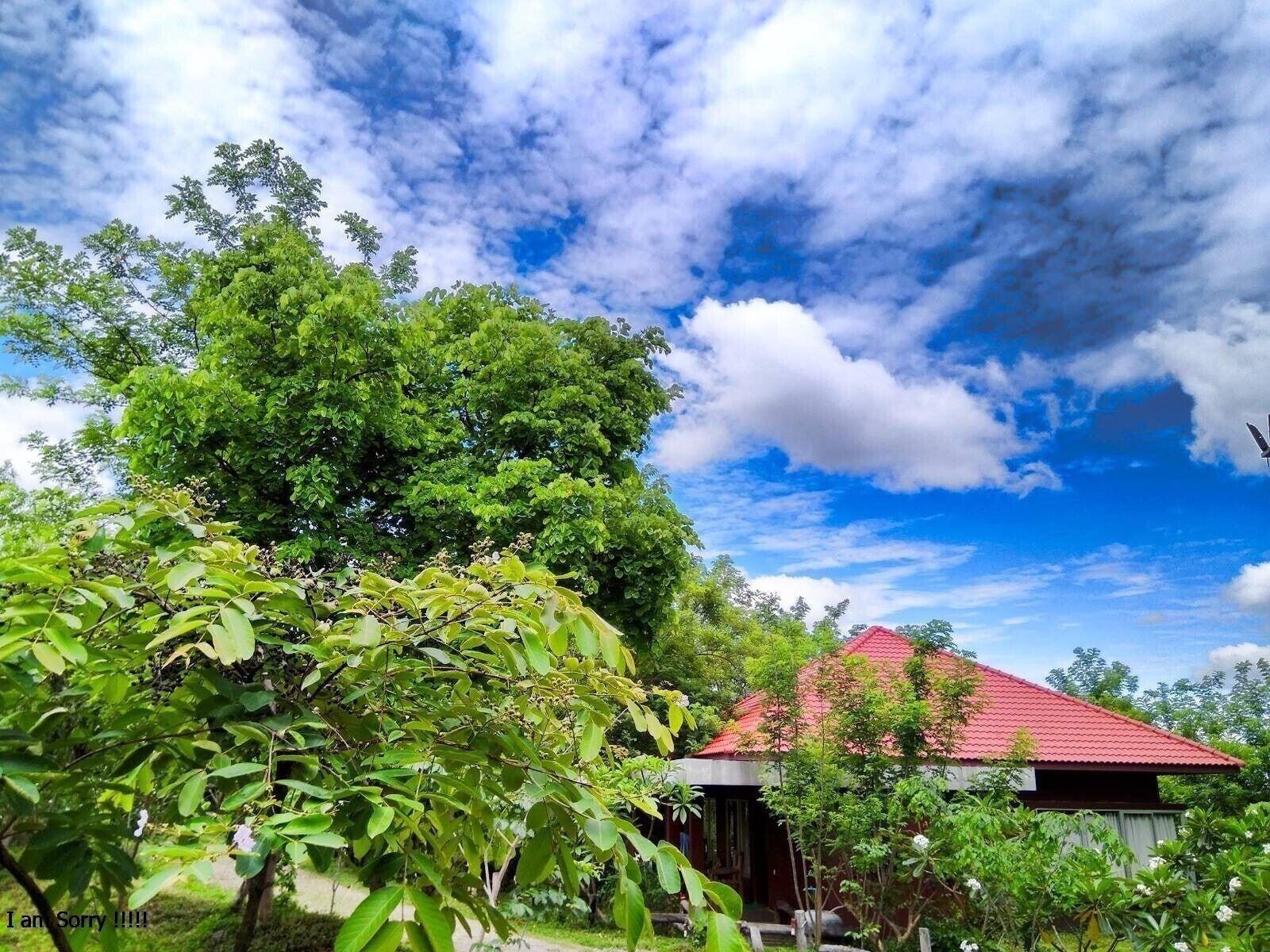 Habitación Memoria Palace & Resort