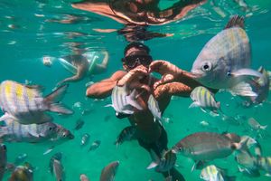 Que Hacer en Río de Janeiro - Las 15 MEJORES Atracciones que ver