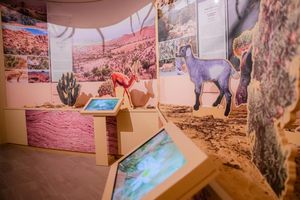 Passeio - Museu Targant - Bilhete com transferências