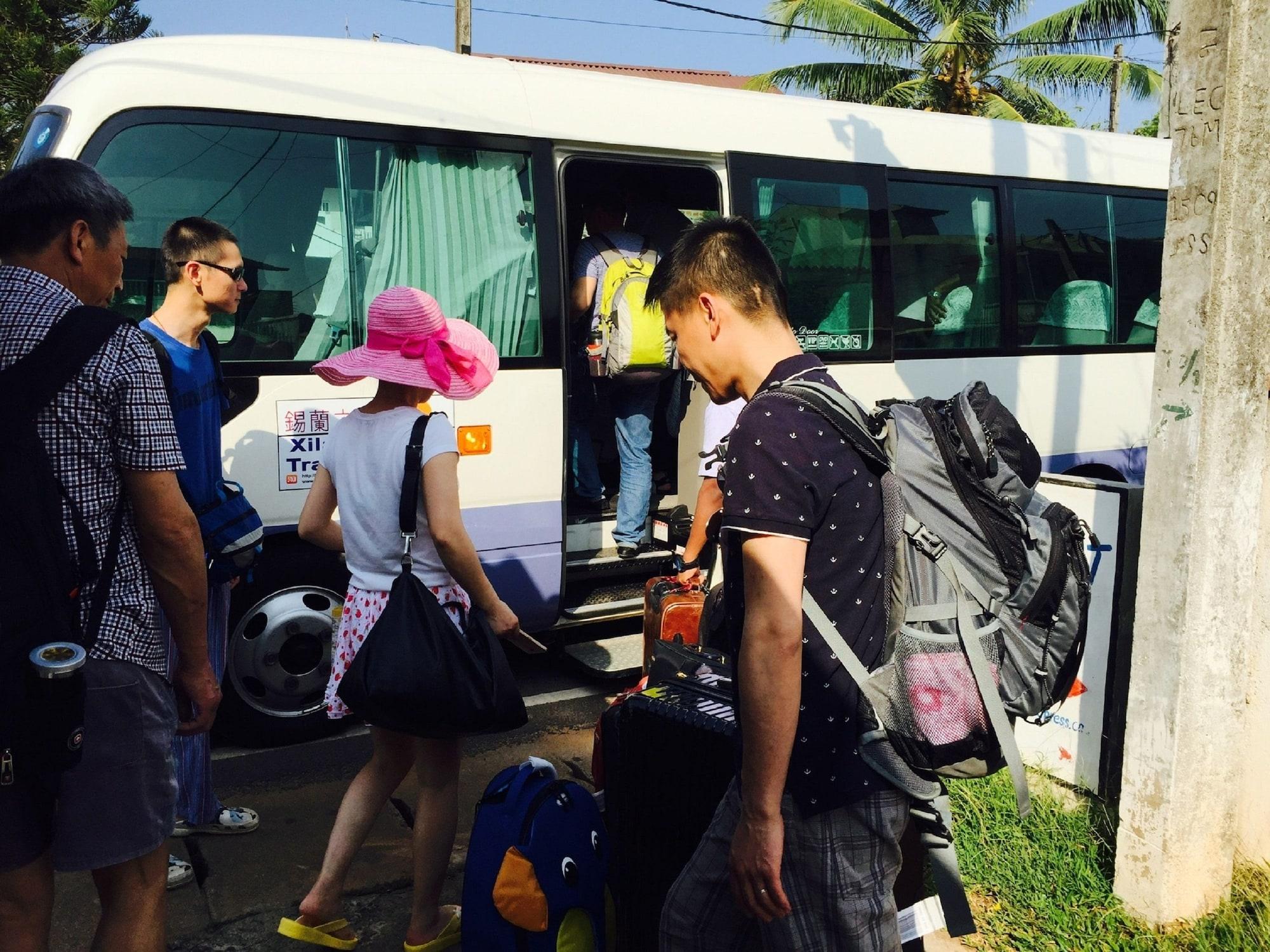 Vista Exterior The Forest