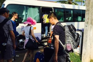 Alojamiento - The Forest