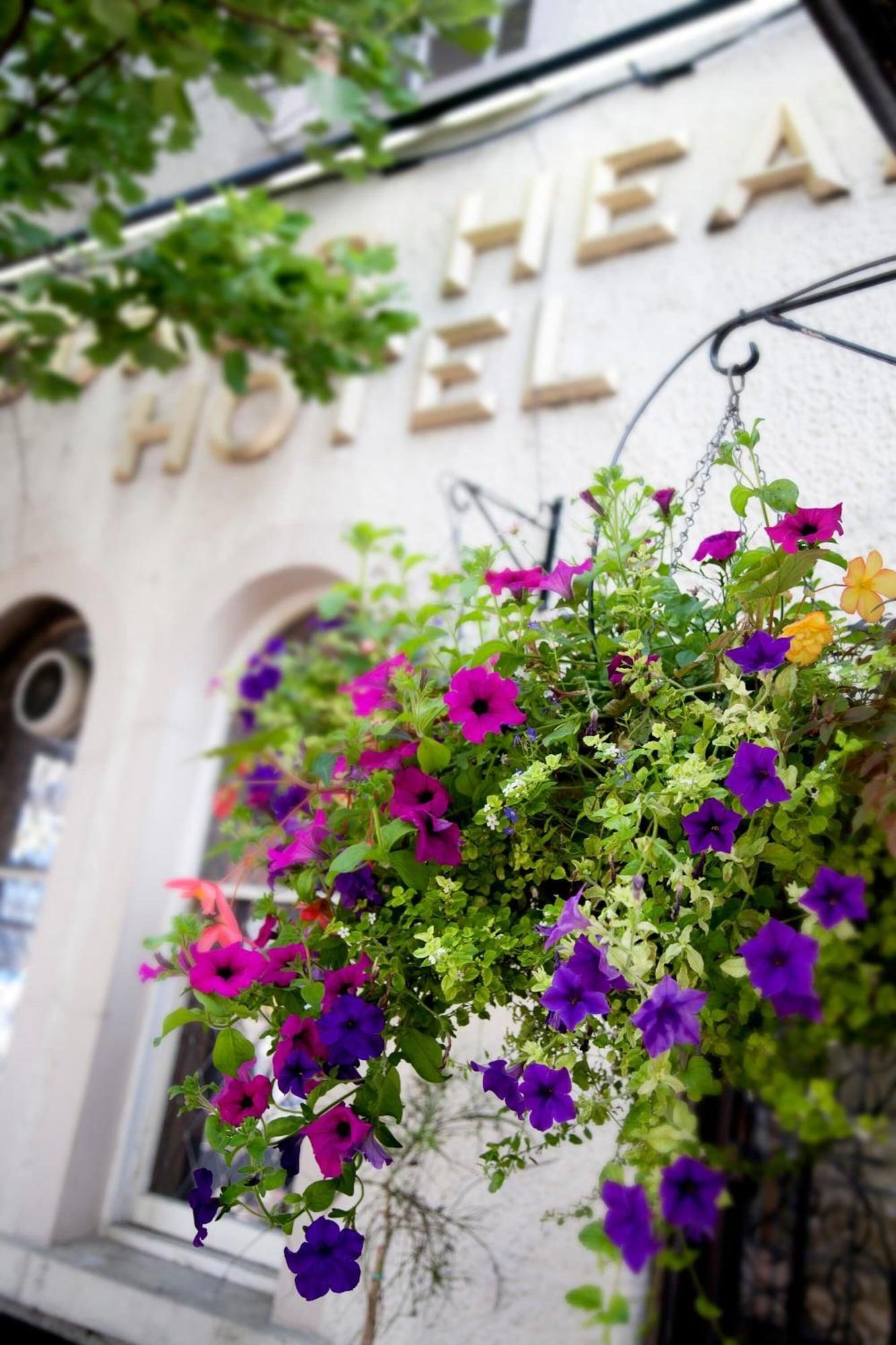 Vista Exterior The Dukes Head Hotel