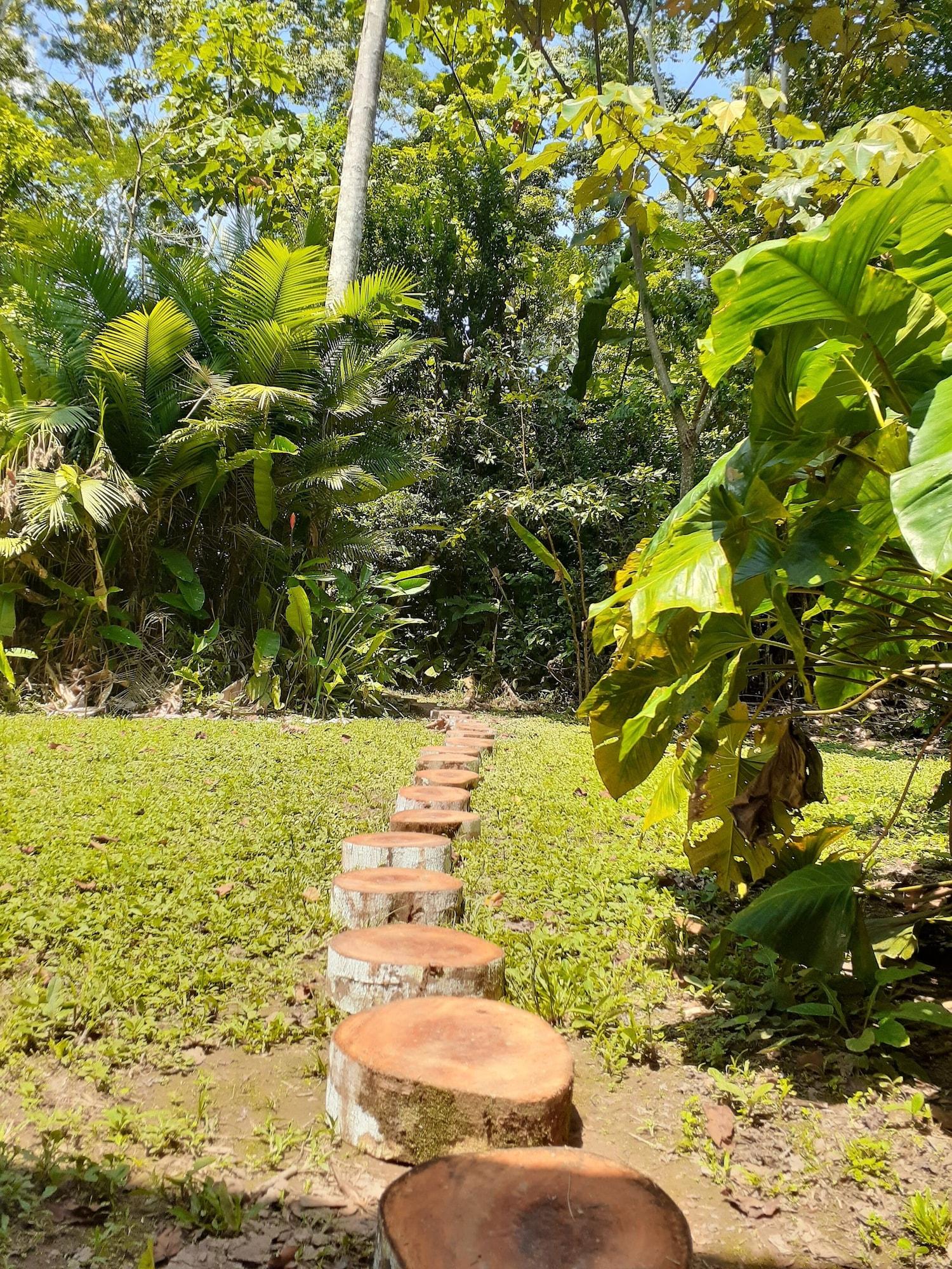 Comodidades del Alojamiento Tambopata Guest House
