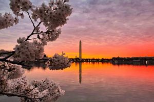 Alquiler Vacacional - Book with us ️3 bd 2.5 ba in Historic Washington DC Home