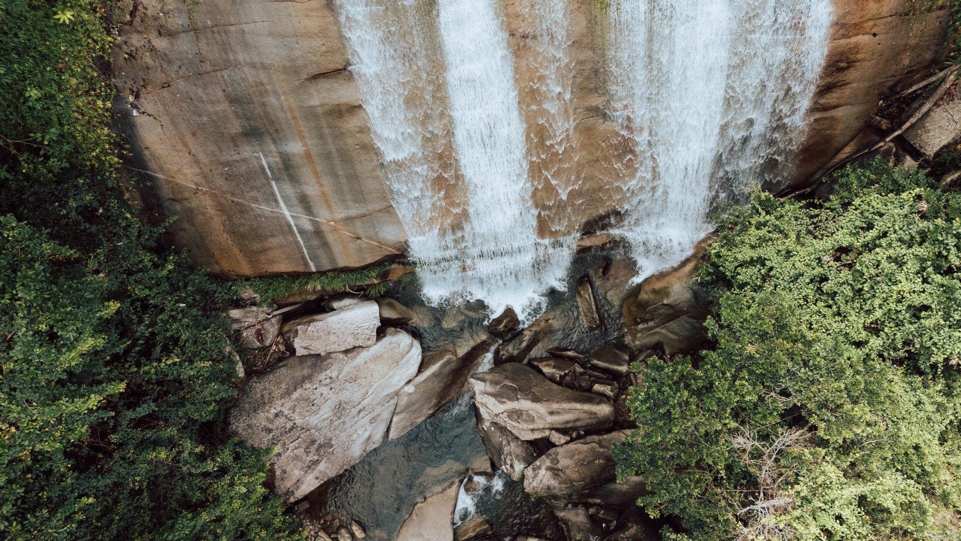 Vista Exterior Silvery Bungalows en el Bosque