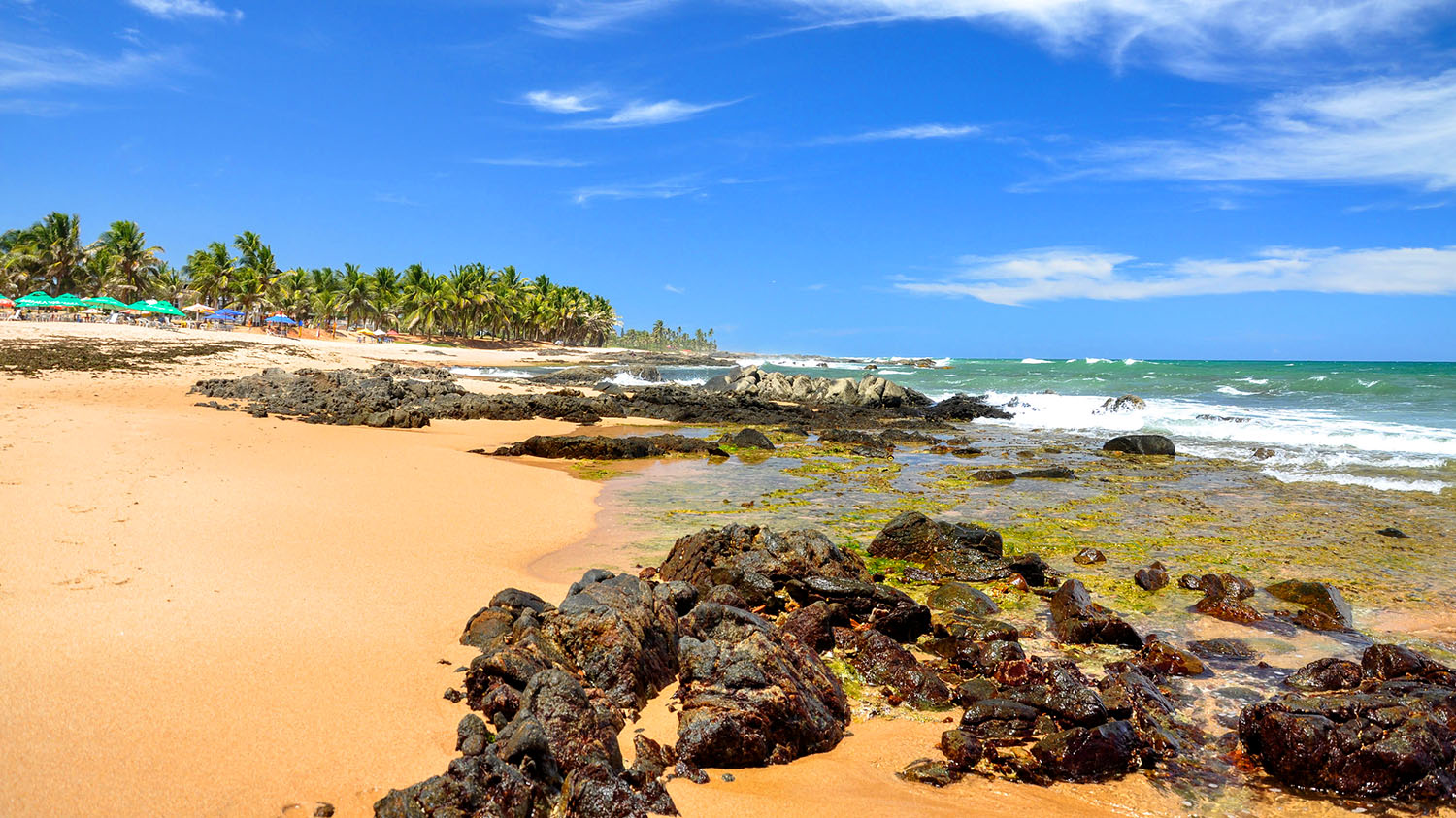 Salvador de Bahia