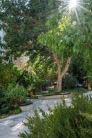 Alojamiento - The Schumacher Hotel Haifa